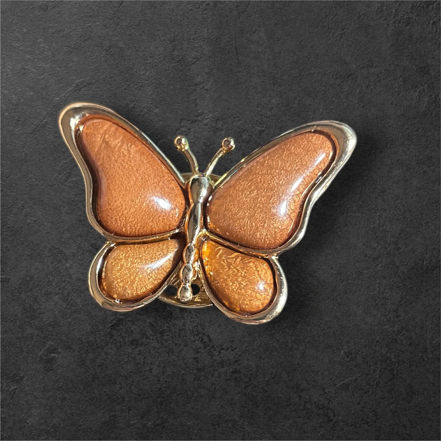 broche papillon camel
