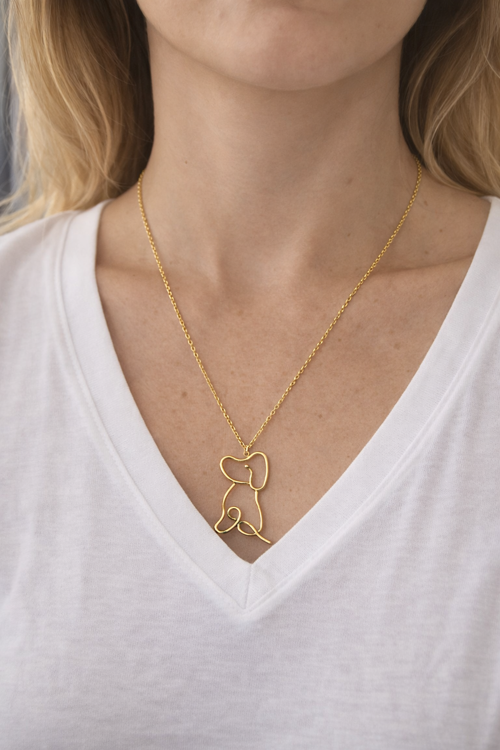 Collier "chien" Mobelle
